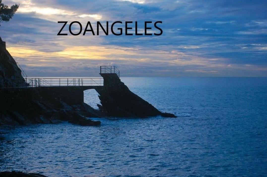 Villa Barbara Zoagli Eksteriør bilde